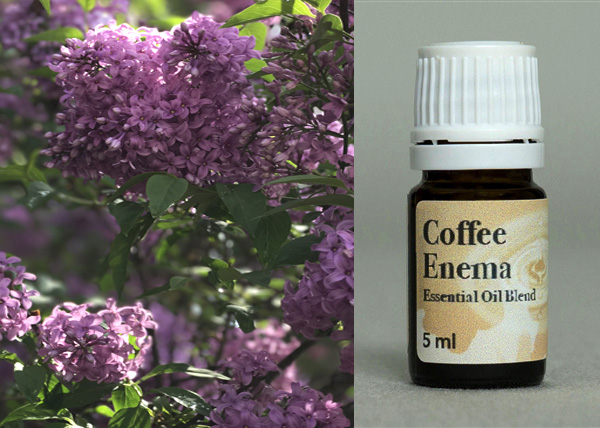 coffee enema essential oil blend